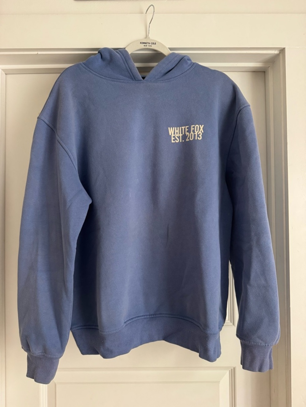 Blue White Fox Hoodie